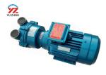 220v Single Phrase Gear Oil Transfer Pump , Electric Motor Water Ring Vaccum