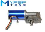 Brushless DC Automatic Door Motor Small Size With Installation Bracket