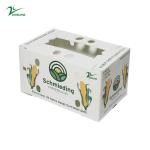 Corruone PP Correx fruit seafood vegetable Cartonplast corrugated plastic