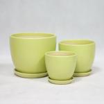 Add a Touch of Style to Your Plants with our Ceramic Pots Collection