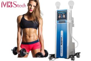 China Muscle Build Fat Freezing EMS EMShape Body EMShapeing Machine 7 Tesla factory