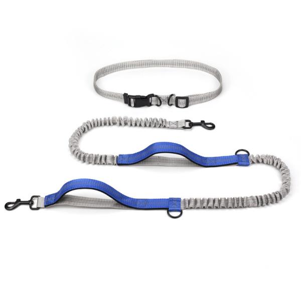Pet Belt Elastic Night Reflective Silk Drawstring Traction Rope Outdoor Running