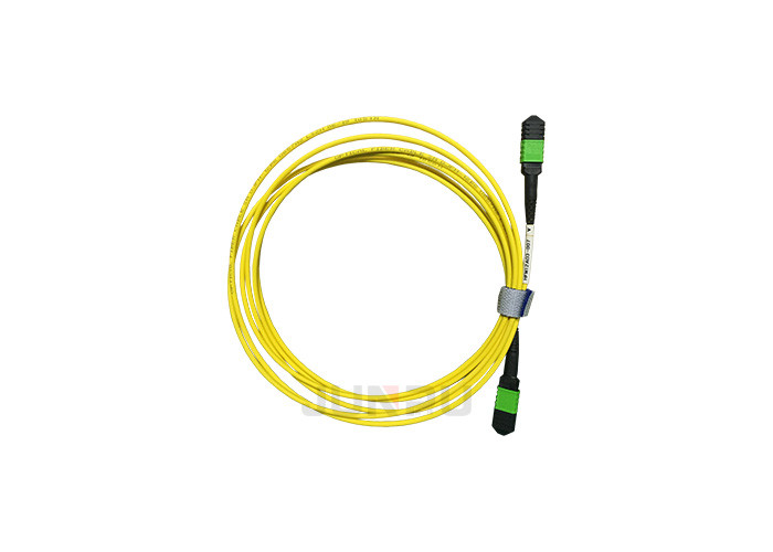 FTTH Fiber Optic Patch Cable, Fiber Optic Patch Cord G652D/G657A1/G657A2 LSZH