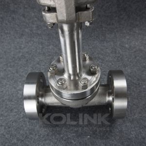 Cryogenic Forged Steel Gate Valve Extended Bonnet LNG