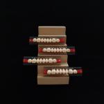 Acrylic Resin Teeth Posteriors Upper (8x1)x12 High Wear Resistance Composite