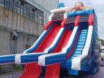 Commercial Outdoor Giant Inflatable Water Slide Dolphin Octopus Cartoon
