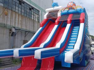 China Commercial Outdoor Giant Inflatable Water Slide Dolphin Octopus Cartoon Inflatable Double Slide For Kids And Adults factory
