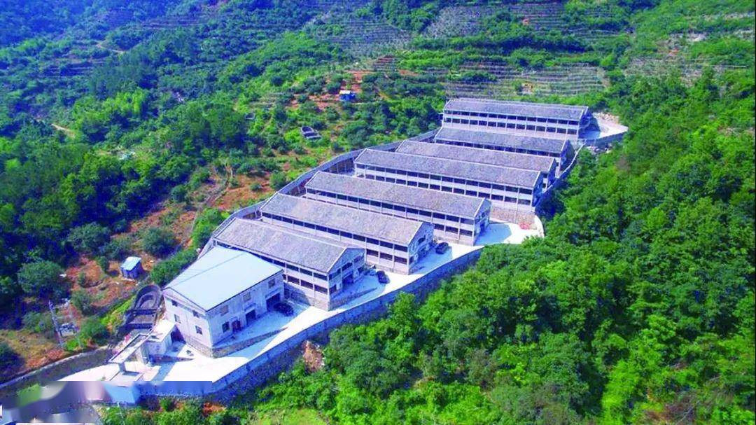 One Stop Livestock Farm Equipment 500 Sows Pig Farm Project Purchase