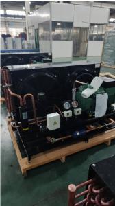 China Customized Refrigeration Cold Room Condensing Unit Piston Compressor factory