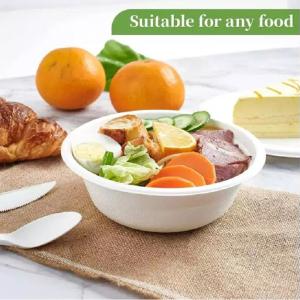 China Salad Compostable Biodegradable Soup Bowls With Lids Bagasse Fiber 16oz Disposable Bowls factory