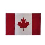 100% Polyester Outdoor Country Flags Custom Size Sublimation Printing