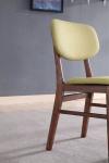 Fabric Modern Fashion Design Ash Wooden Dining Chair