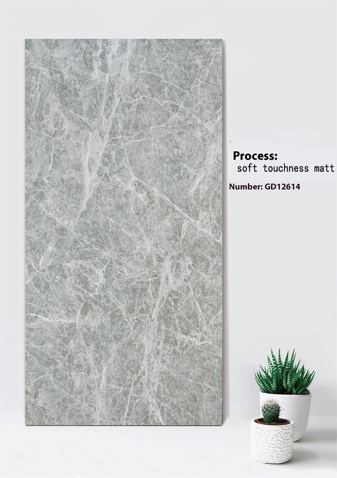 Light Gray Marble Look Scratch-Resistant 600x1200mm Soft Touchness Matt Exterior Curtain Wall Tile For Garden