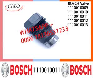 China Pressure relief valve 1110010011 1110010010 1110010018 1110010019 1110010014 1110010015 factory