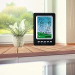 Professional Temperature And Humidity Outdoor Wireless Weather Station With Rain