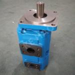 JHP Double Pump Square cover Spline Blue Compact Original Gear Pump For