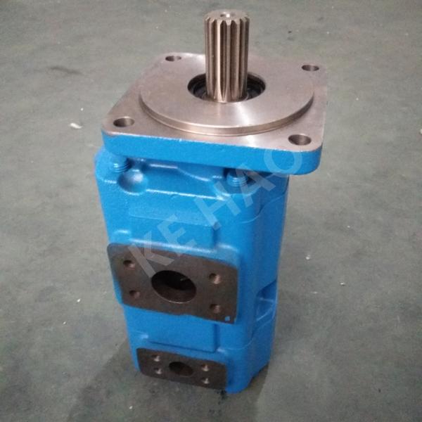 JHP Double Pump Square cover Spline Blue Compact Original Gear Pump For
