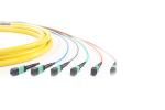 OEM OM3 40G Fiber Optic Trunk Cable G655 G657 MTP MPO Patch Cord