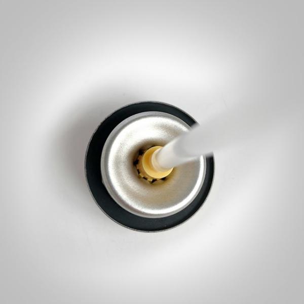 Natural Aerosol Spray Air Freshener for Eco-Conscious Consumers with Plant-Based Ingredients