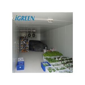 China Hydroponics Vegetable And Flower Cold Storage Room Walk In Freezer Customization factory