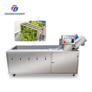 China 380V Integrating Spinach Washing Machine , Blasting Isolating Potato Cleaning Machine factory