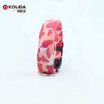 Flashing Light Up LED Dog Collar / OEM Illuminated Dog Collar Leash