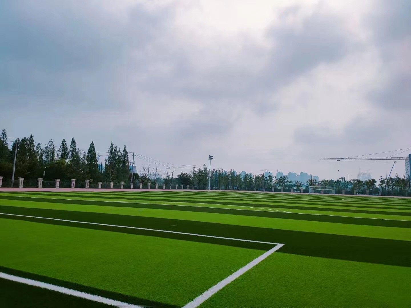 SGS 10% - 30% EPDM Rubber Granules Infilling Artificial Grass