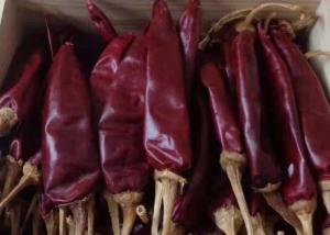 China Medium Hot Dried Guajillo Chili 12% Moisture Red Chile Peppers 10000SHU factory