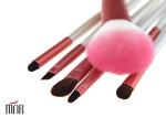Wood Handle Custom Professional Travel Makeup Brushes With Cosmetic Bag