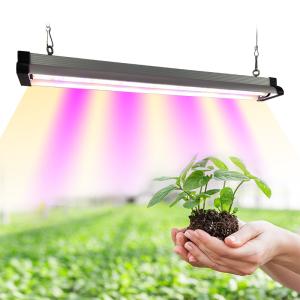 China T5 T8 30w 45w 60w Led Grow Light Bar For Horticulture factory