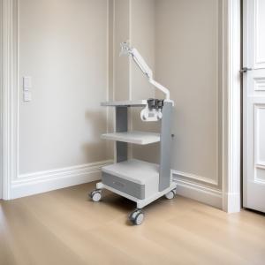 China TUYOU Complete Set Medical Imaging Endoscopic Trolley For ENT,Spine And Arthroscope factory
