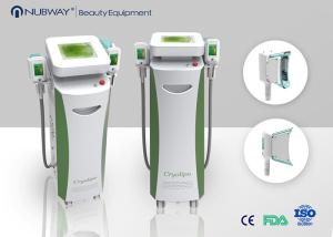 China crypolysis fat freezing machine CE approval factory