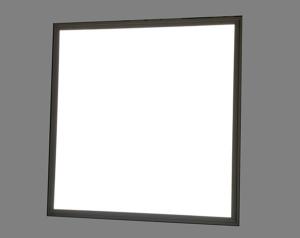 China 600*600 led panel light factory