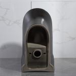 300mm Siphonic One Piece Toilet American Standard Black Porcelain