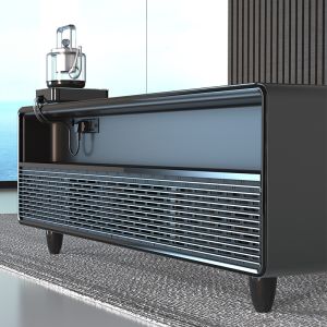 Primst Inverter Compressor Cooler Wine Fridge for Household Dual Zone Wine