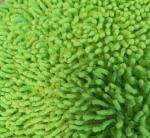 Microfiber 650gsm Green Small Chenille Folded 13*47cm Oxford Pocket Wet Mop Pads