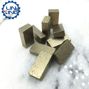 Customized Support ODM 1200mm Diamond Segments for Fast Sharp Cutting of Multi