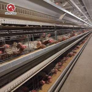 China H Type Battery Layer Eggs Chicken Cage Laying Hens Cold Dipped 8Tiers factory