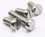 18-8 Stainless Steel Slotted Drive Fillister Head Screws ASME B18.6.3 Slotted