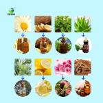 TOPTION Essential Oil Extractor Stainless Steel Botanical Extraction Equipment