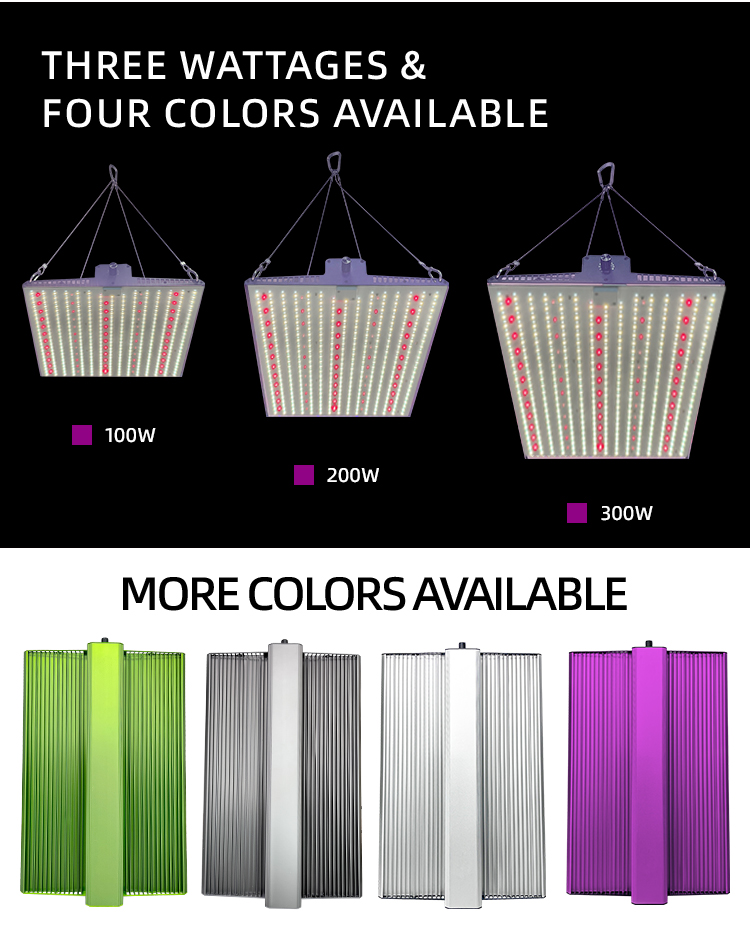 2x2ft 3x3ft Flower Grow Light Full Spectrum Veg And Bloom LED Grow Light