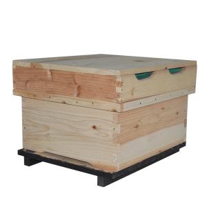 China 18mm Thickness Fir One Layer Bee Hive factory