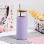 Clear Color Portable Sturdy Silicone Covered Glass Water Bottle Glass Drinking