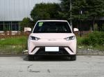 Seagull 2023 BYD SUV Electric Flying Version 5 Door 4 Seater Fully Electric SUV