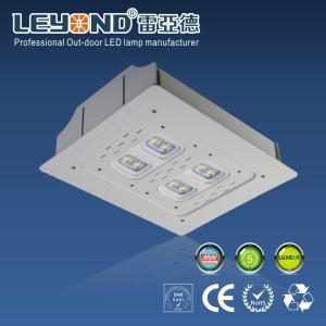 China Chips Led Canopy Lights Meanwell Driver Exterior Canopy Lighting factory