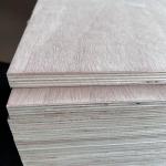 Furniture Hardwood Veneer Plywood 2440x1220x18mm Mildewproof