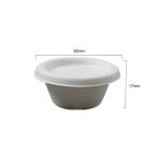 Water Resistant Leakproof Biodegradable Sugarcane Bagasse Cup Sauce Cups And