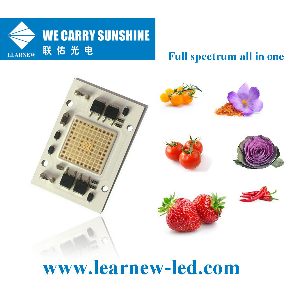 Plant Growth 50W±2W Multi Wavelength 40*60mm AC 220V Grow Lamp LED COB Light