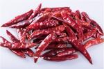 Zero Additive Tianjin Red Chilies Stick Shape Pungent Red Dried Chiles