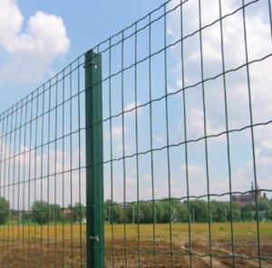 China European PVC Coated Welded Wire Mesh Security Fencing Curved 50 X 100mm factory